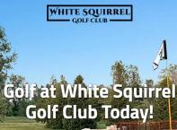 Block 45 #3 - Golf for 2 from White Squirrel Golf Club, Zurich, ON