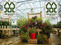 Block 68 #6 - $100 Gift Card for tropical plants and indoor gardening from DeGroot's Nurseries, Sar
